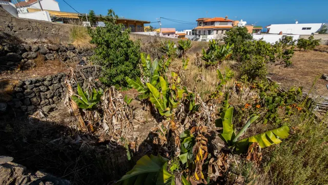Terreno urbano de 2.500 m2 en Icod de los Vinos | oportunidad para inversores — 31