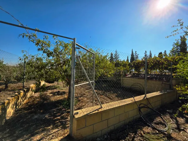 Terreno rural 1 habitación en venta - Sangonera la Seca — 4
