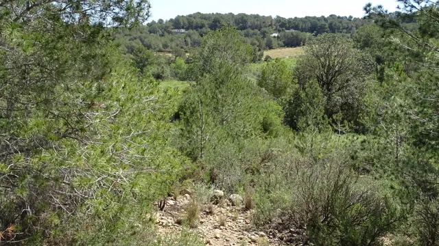 Terreno en venta en Vilamarxant — 19