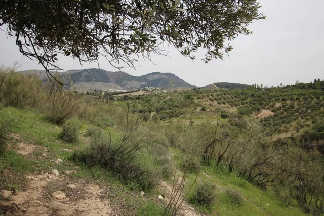 FINCA EN CORTIJO SAN JERÓNIMO (BARTODANO) — 25