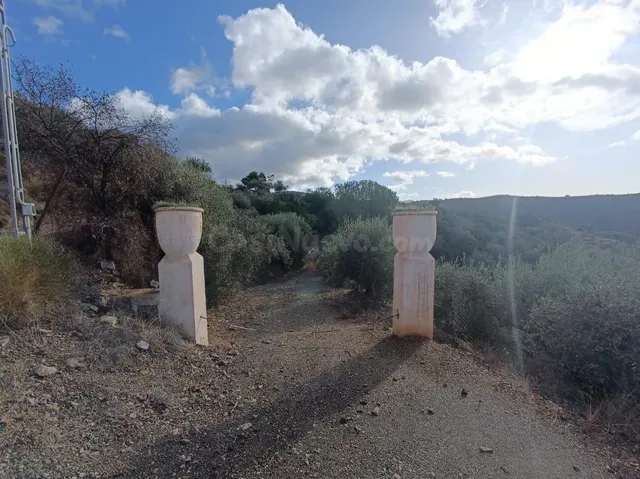 Espectacular terreno en Velez-Màlaga. - foto 3