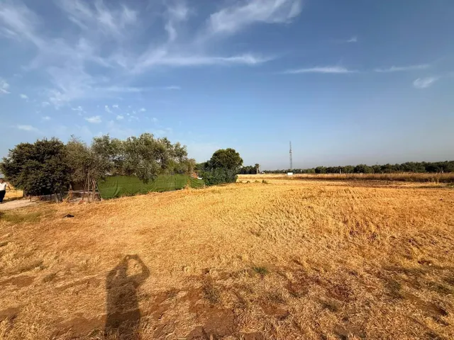 D. FINCA RÚSTICA CON PISCINA Y POZO LEGAL EN LA FUENCUBIERTA - foto 3