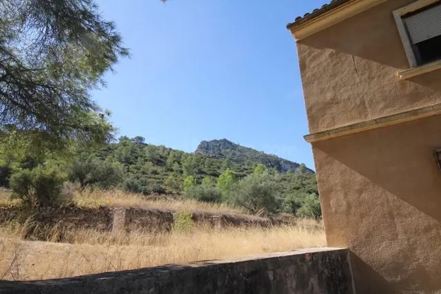 IMPRESIONANTE FINCA DE 30 HECTÁREAS CON TERRENO CULTIVABLE Y - foto 4