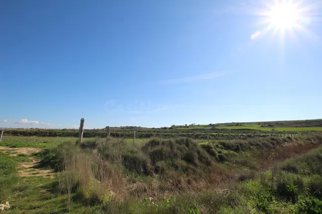 Terreno rural en venta - Aragon - foto 2