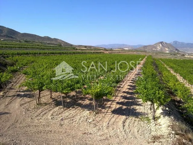 Inmobiliaria San Jose vende parcela en Novelda, Costa Blanca