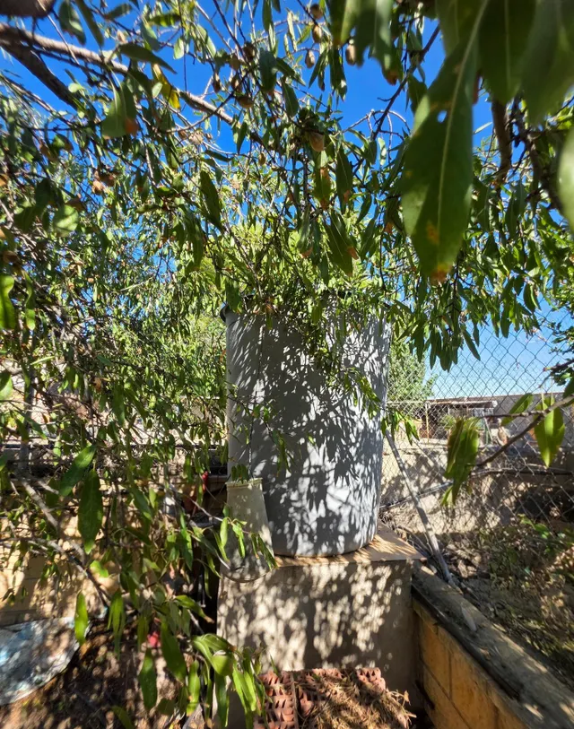 Terreno rural 1 habitación en venta - Sangonera la Seca — 11