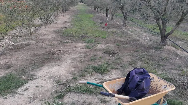 OPORTUNIDAD CASA DE CAMPO CON INMEJORABLES ACABADOS EN FINCA RUSTICA DE BATEA — 43