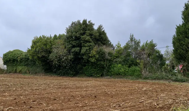 Oportunidad Inmobiliaria en Lugar de Quintáns (Carballo) — 8