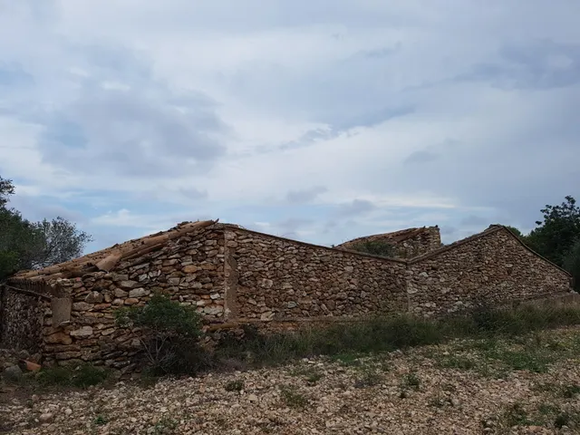 Finca Rústica de 6,5 hectáreas, plana, con casa de campo de 150 M2 — 18
