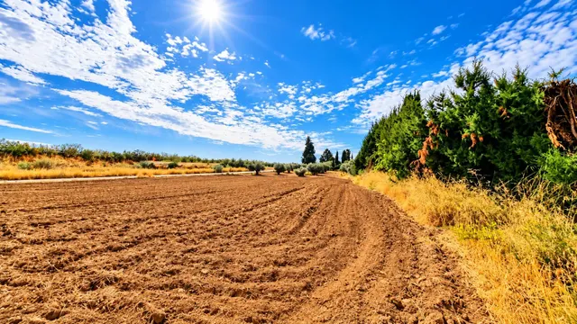Parcela rústica de 4.824 m2 en Llanos de Moraleda, Moraleda de Zafayona — 14