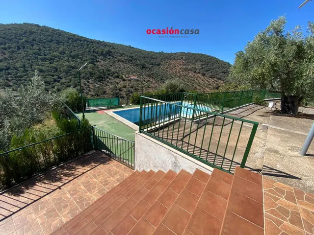 FANTÁSTICA PARCELA CON VIVIENDA, PISCINA Y OLIVOS - foto 4