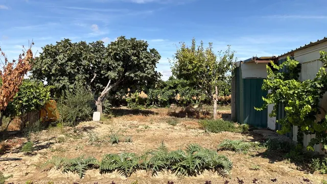 Terreno Rural en Ejea de los Caballeros — 3