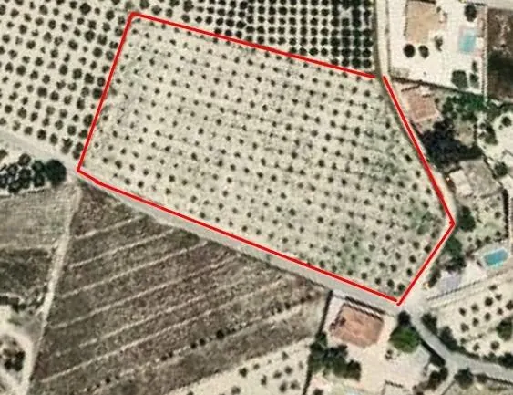 ¡Oportunidad única! Parcela rústica de 12.157 m2 en El Rebol - foto 3