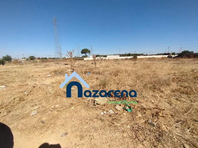 PARCELA EN VENTA EN LA RUANA ALTA - foto 3
