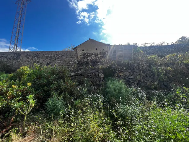 FINCA RÚSTICA CON ESTANQUE Y CUARTO DE APEROS EN ICOD DE LOS VINOS — 24