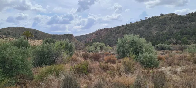 Parcela 330m² en venta - Abanilla — 8