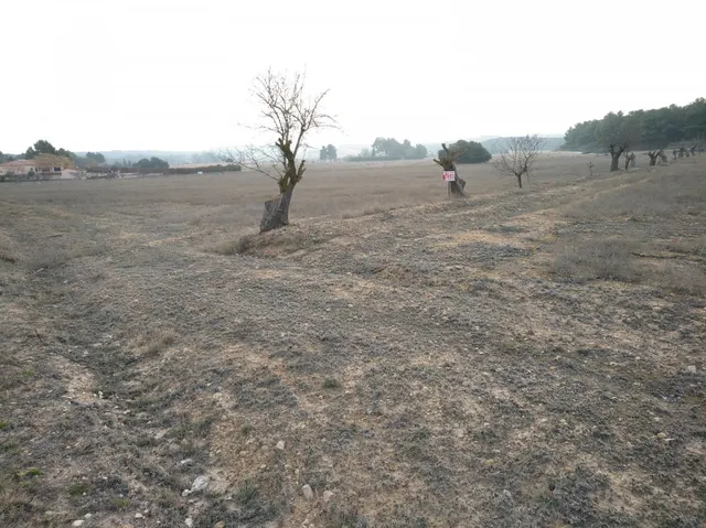 EXCELENTE PARCELA EN PARAJE DE LOS ESPETONES — 2