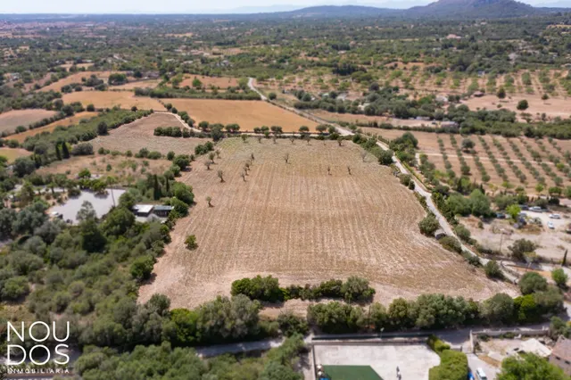 SOLAR CON LICENCIA EN LLUCMAJOR - foto 2