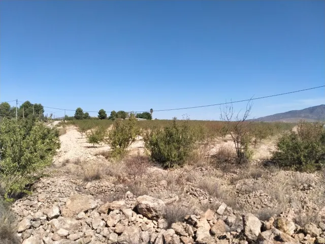 Villa de Obra Nueva Llave en Mano en Pinoso – Exclusividad, Espacio y Confort en Plena Naturaleza — 30
