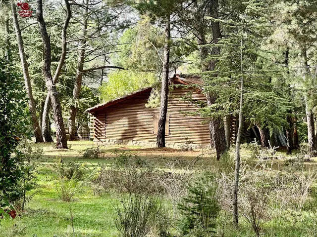 Cabaña de 75m2 rodeada de un precioso bosque en terreno urbano no consolidado de 10.117m2. — 14