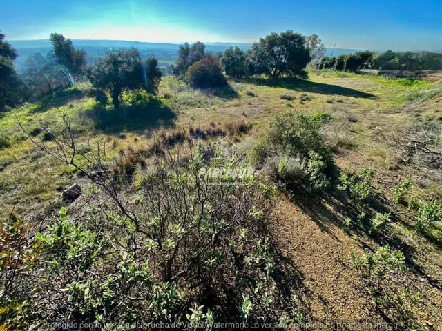 ESPECTACULAR TERRENO EN CASILLAS DEL AIRE!!!! - foto 4