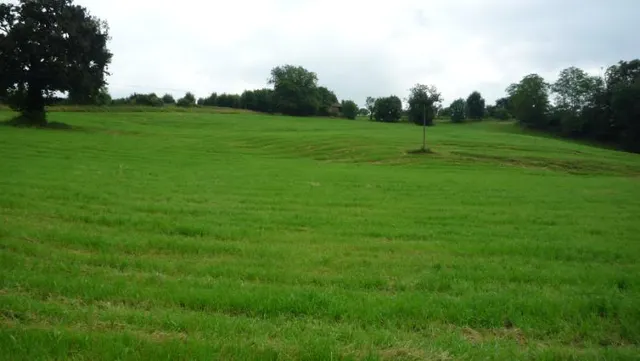 Finca rústica 28973m² en venta - Alto La Encina — 6