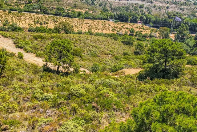 Parcela en venta - Costa Del Sol - foto 3