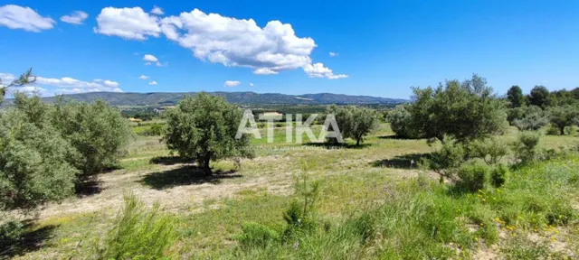 Finca rustica para rehabilitar — 6