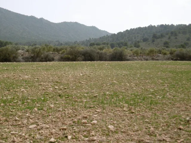 Parcela en venta - Ayuntamiento