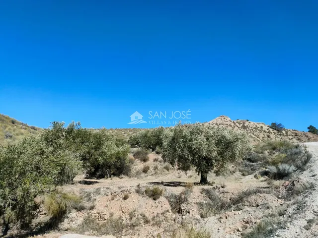 SE VENDE PARCELAMUY CERCA DEL PUEBLO DE MACISVENDA — 16