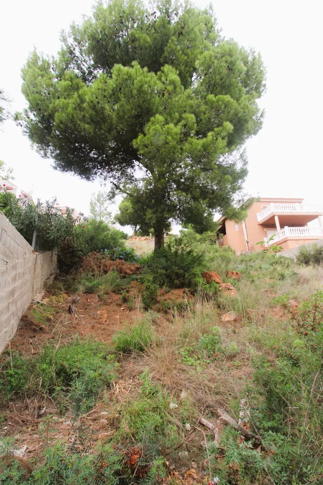 Terreno urbanizable con proyecto en Náquera. — 16