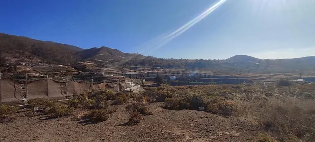 FINCA AGRÍCOLA EN GRANADILLA DE ABONA. - foto 5