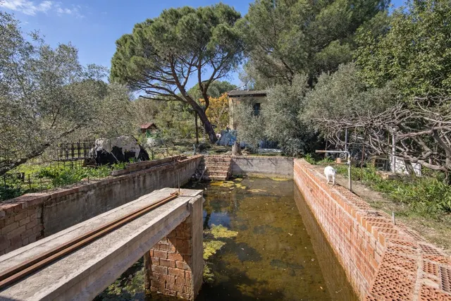 En venta maravillosa finca Rustica de Olivos — 35