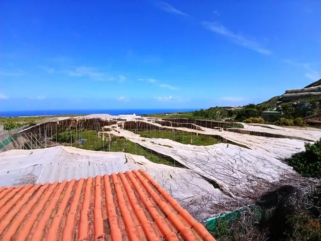 Casa con finca en Buenavista del norte — 30