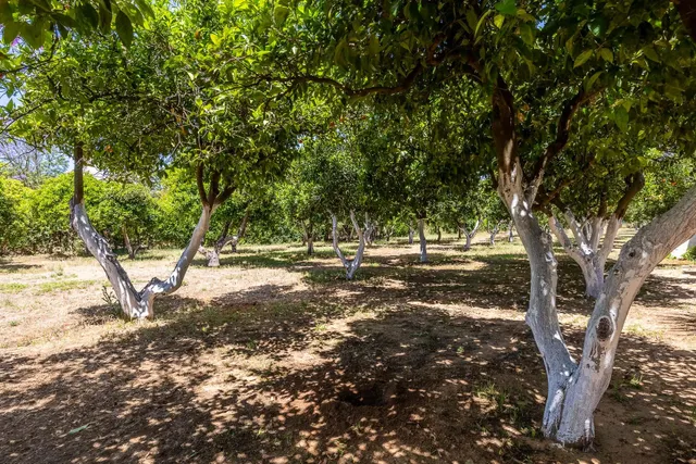 Finca de Recreo " La Almudena" — 21