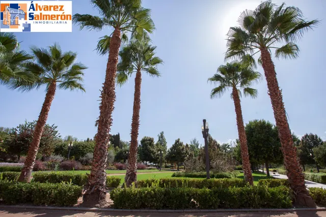 Piso con terraza y gran potencial junto a Camino de Ronda — 32