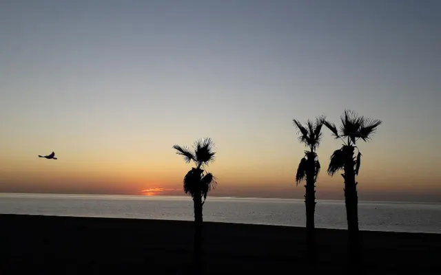 Hotel 54 habitaciones 2315m² en venta - Costa Del Sol — 15