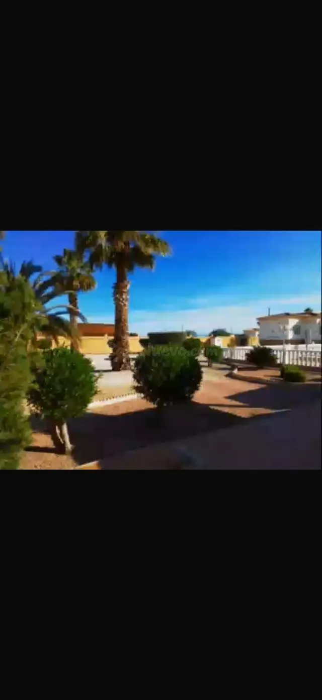 Exclusiva villa en Catral con piscina y amplio terreno - foto 3