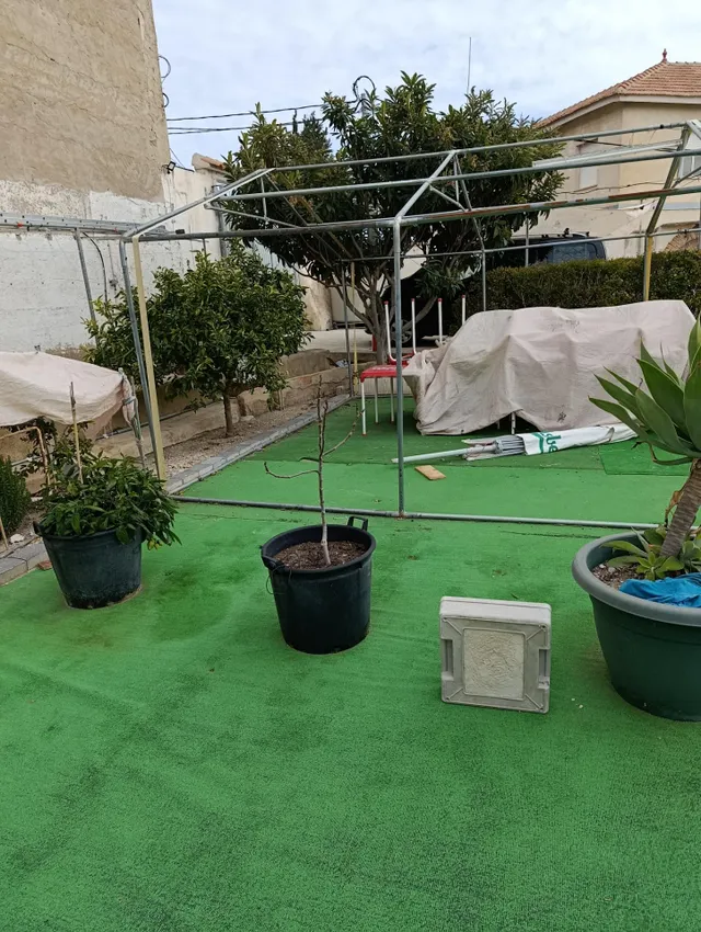 VIVIENDA CON TERRENO CENTRO MULA — 9