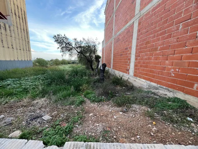 SOLAR EN VENTA EN AVENIDA CATALUNYA! - foto 4