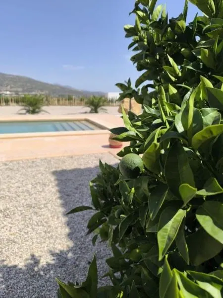 Casa 3 habitaciones 127m² en venta - Comunidad valenciana — 29