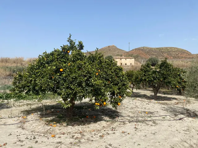 Se vende cortijo a distancia de a pie al pueblo — 33