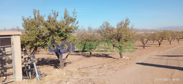 Terreno-parcela en Purias — 15