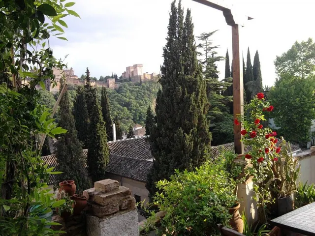 Propiedad de 5 viviendas con encanto en el Albaicin con mirador a la Alhambra. — 33