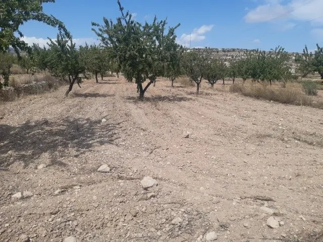 Se vende terreno de 16000 metros — 7