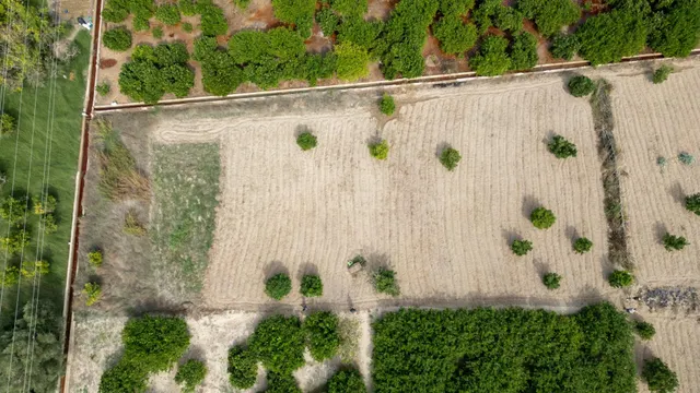 Terrenos Rústicos 2X1 — 3