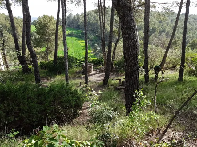 Parcela en venta en la urbanización de El Serrat — 2