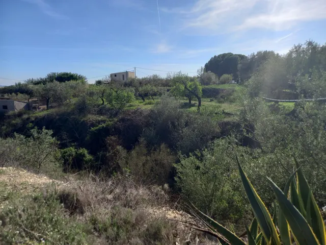 OCASION FINCA RUSTICA DE REGADIO CON VIVIENDA A 1,5 kM. DE MORA D´EBRE — 26