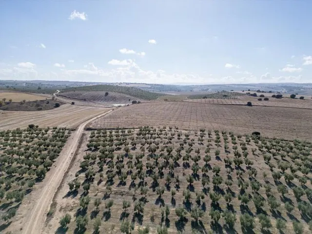 IMPRESIONANTE OPORTUNIDAD DE INVERSIÓN EN ALAMEDILLA!! — 20
