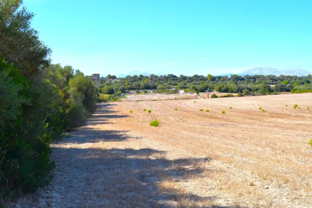 Finca rústica con posibilidad de vivienda en Llubi - foto 5